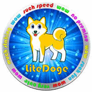 LDOGE