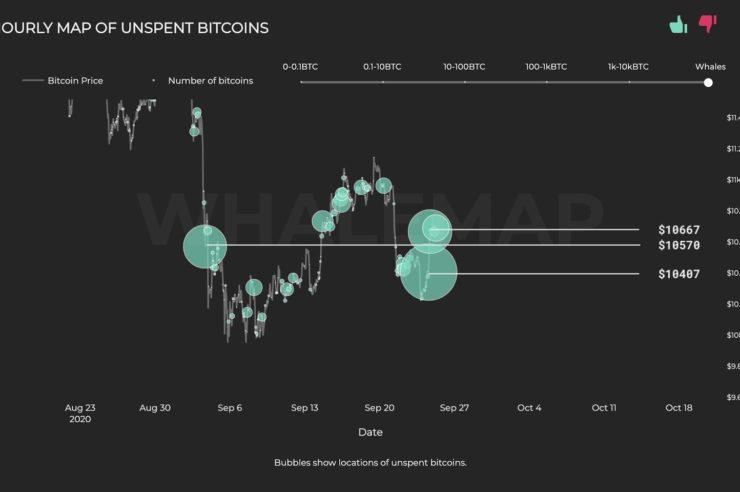 The hourly map of Bitcoin whale clusters